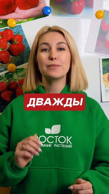 «Чёрный принц» не даёт 2 кг — за что его всё равно покупают?
