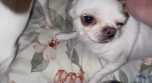 Доброго всем утречка и чудесного начала дня.