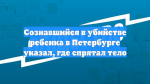 Сознавшийся в убийстве ребенка в Петербурге указал, где спрятал тело