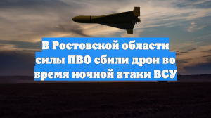 В Ростовской области силы ПВО сбили дрон во время ночной атаки ВСУ