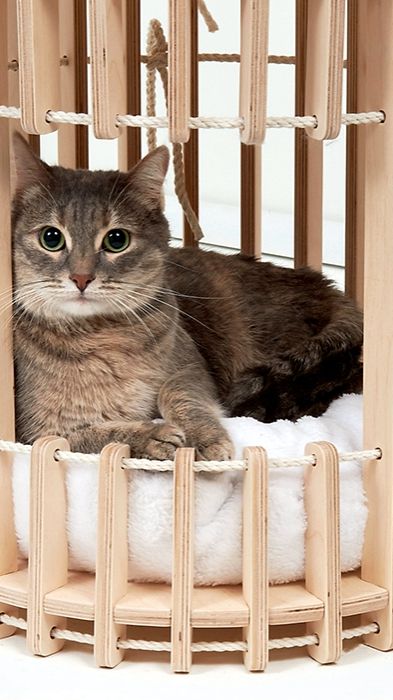 Дом, в котором живут…