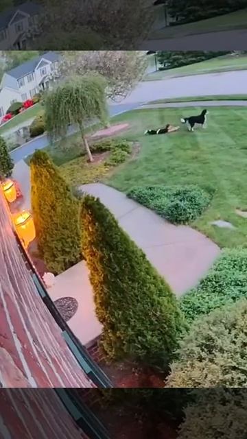 Вот и погуляли смотреть онлайн