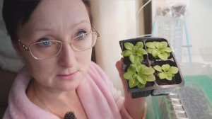 Видео привет с 0,007 сотки)) 3 января 2026 года