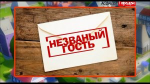 Асфальт Городок. Незваный гость | Мультфильм | Cartoon Boomerang