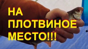 На плотвиное место!!!