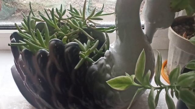 А, у нас зима всё шалит и шалит! смотреть онлайн