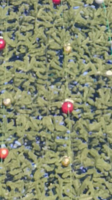 3. Город Белорецк. 15 января 2026 года.