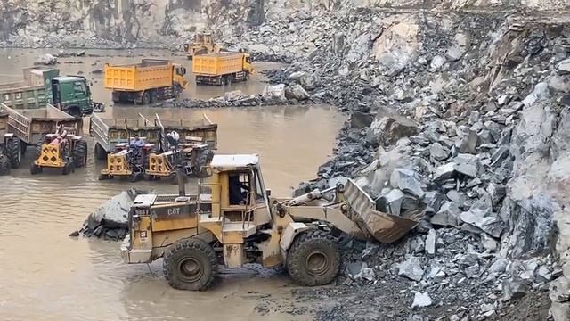 💥 Настоящий ГИГАНТ на борту! 💥