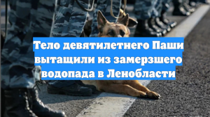 Тело девятилетнего Паши вытащили из замерзшего водопада в Ленобласти