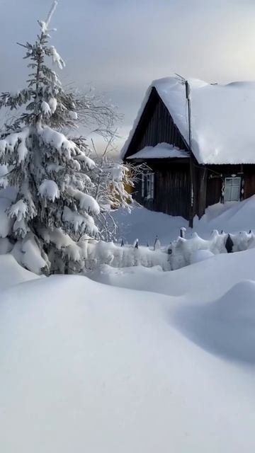 Протопи мне баню…