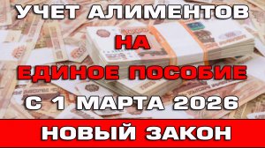 Новый закон по алиментам на Единое пособие с 1 марта 2026 Новости