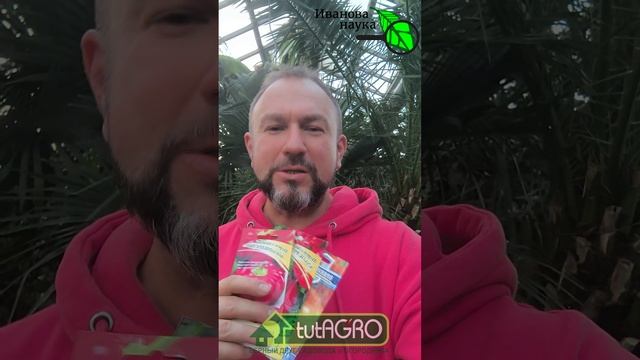 Не торопитесь с посевом перца! Сею попозже, а рассада супер! Как ускорить развитие рассады. смотреть онлайн