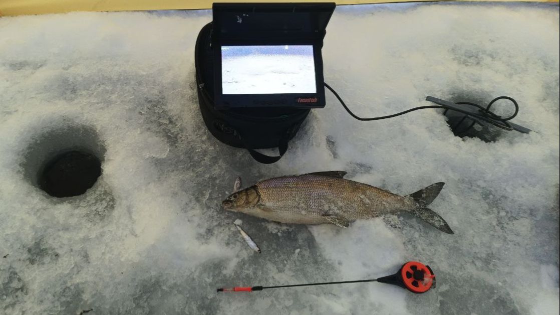 Подводные съёмки с крайней рыбалки. смотреть онлайн