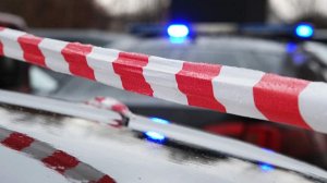 Подозреваемый в убийстве мальчика в Ленобласти демонстрировал грубое поведение