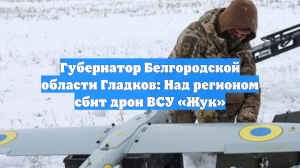 В Белгородской области сбили дрон-камикадзе ВСУ «Жук»