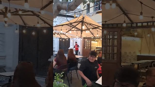 рождество-елка