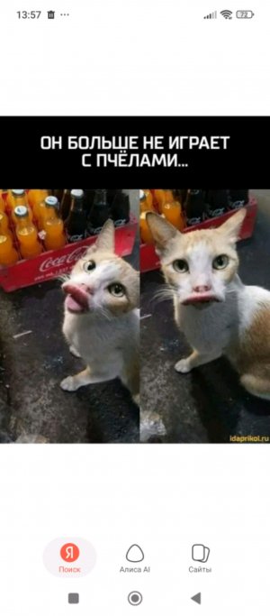 ововоатататта ата ат