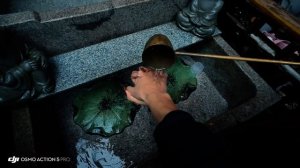 2026-01-01 13.01.19-Video-ᰔᩚ小圆子-我会牵着你手同进退 佛前立誓不后悔.@小圆子