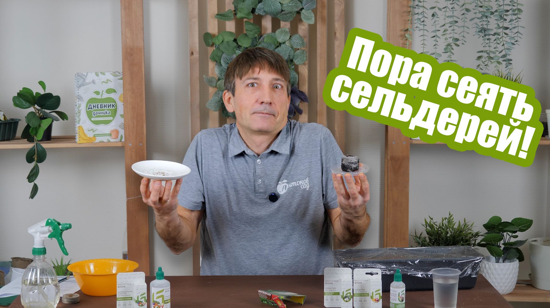 Сельдерей на рассаду: как сажать корневой, черешковый и листовой сельдерей смотреть онлайн