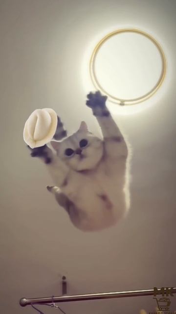 Когда на тарелке остался последний пельмень.