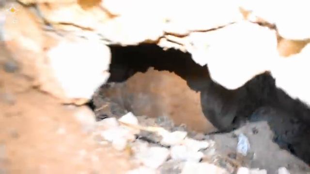 нашел клад, наполненный золотом, в пещере , используя карту сокровищ и металлоискатель 🤯