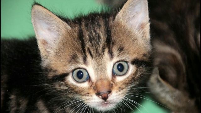 Полная проверка