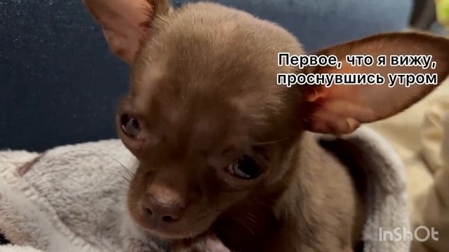 Первое, что я вижу, проснувшись утром Первое, что я вижу, проснувшись утром