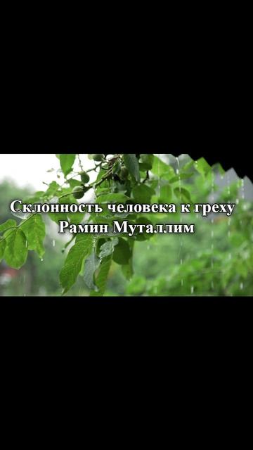 Склонность человека к греху  Рамин Муталлим