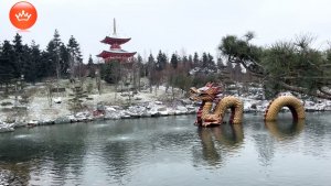 Парк Галицкого и пушистый вымогатель орехов. 🌲Японский сад Февраль 2026.