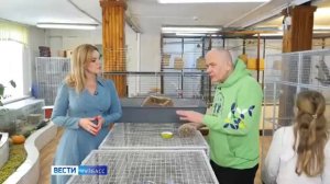 Ёжики колючие, весёлые, игручие...