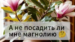 Хочу теперь магнолию 😁