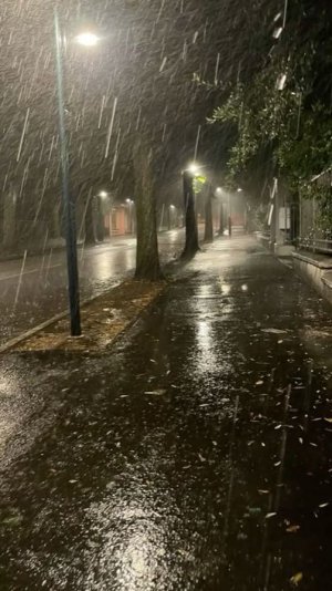 Серый дождь