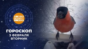 Гороскоп на 3 февраля. Доброе утро. Фрагмент выпуска от 03.02.2026