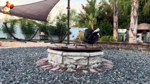 Забавные утки мускусные и пекинские на свободном выгуле со своими друзьями ч.(352) ❣️🤗😂