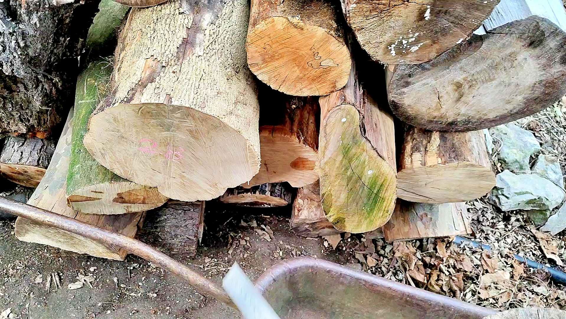 Поездка в Пицунду на стрижку и сбор валежника смотреть онлайн