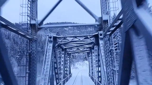 Три СЛОВА автор Весёлый хлебник