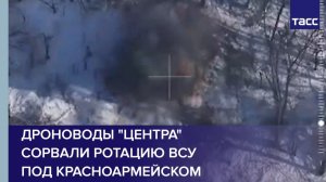 Дроноводы "Центра" сорвали ротацию ВСУ под Красноармейском