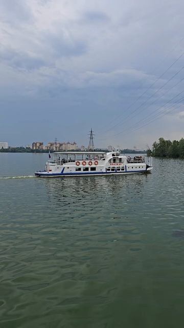 По реке Воронеж