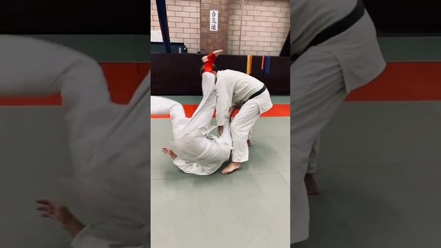 айкидо.mp4 смотреть онлайн