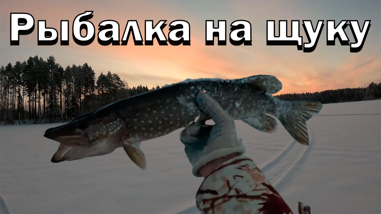Ловля щуки на жерлицы! Рыбалка в конце 2025 и начале 2026! Глухозимье на озере! смотреть онлайн