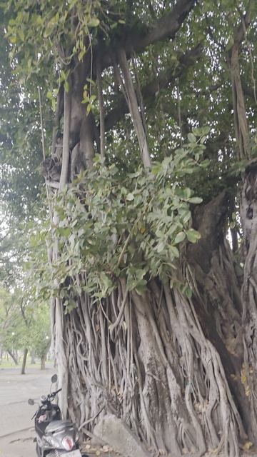 Бангкок 3 день 5