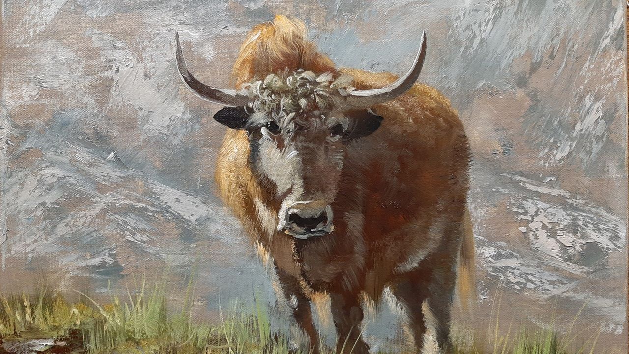 Бык.Живопись маслом