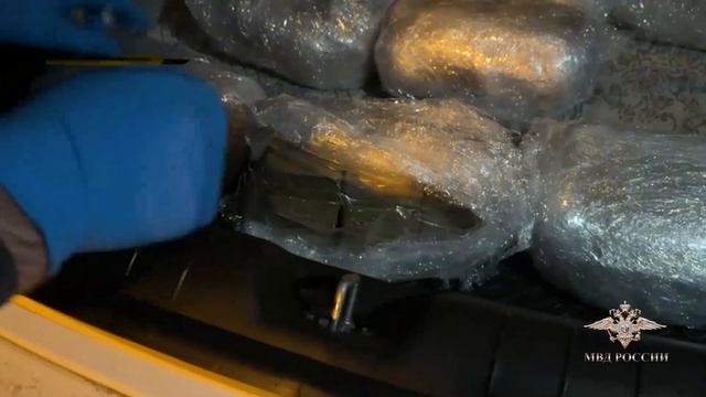 Ирина Волк: В Подмосковье полицейские задержали троих подозреваемых в незаконном обороте гашиша смотреть онлайн