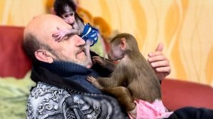 Степашка уже СПАСАЕТСЯ на папиной голове ОТ ЛЮБВИОБИЛЬНОЙ ЛЮСЬКИ!