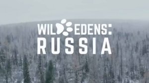 Дикая природа России.Часть 1.