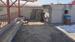 Дедушка выступает против попытки новой партнерши, Тайибы, привести детей.