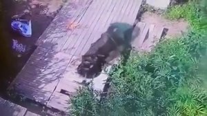 Неудачные случаи на рыбалке