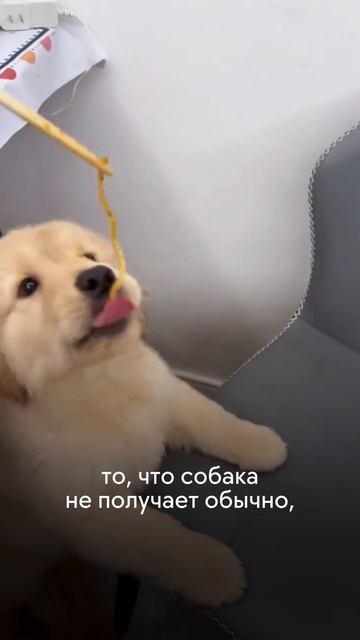 Пищевая избирательность. Часть 1