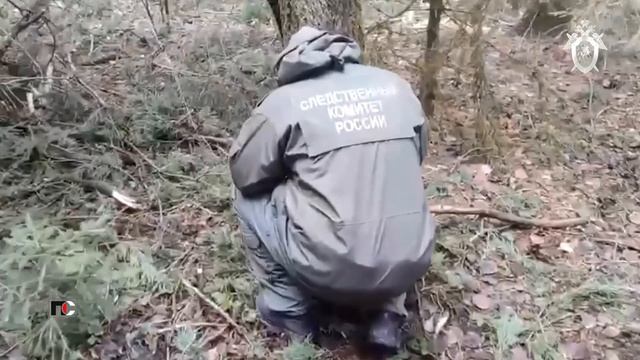 ПС - 3 февраля 2026 смотреть онлайн