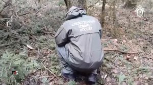 ПС - 3 февраля 2026